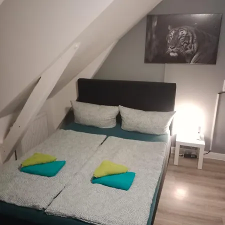 - 24h *